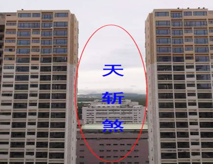 天天1_副本.jpg