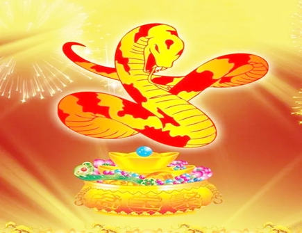 属蛇人2022年忌讳什么颜色