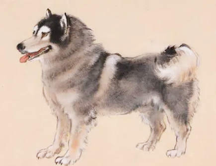 属狗人一生最克谁