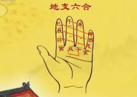 地支六合有哪些呢？