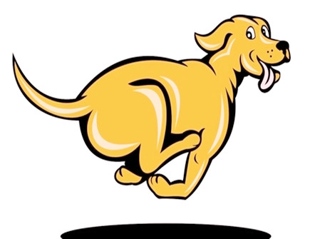 属狗男对工作的态度