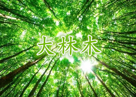 大林木命有哪些特点呢？