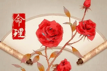 女命八字日元极旺好不好