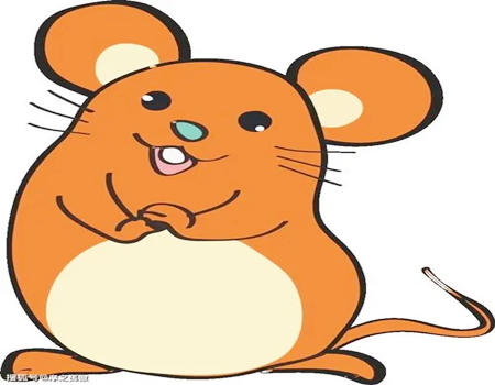 2023年适合换工作的生肖有哪些？