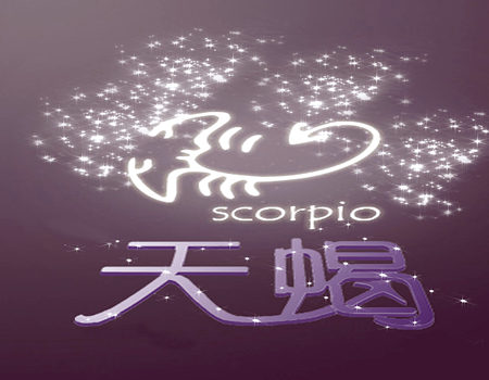 11月4日是什么星座？