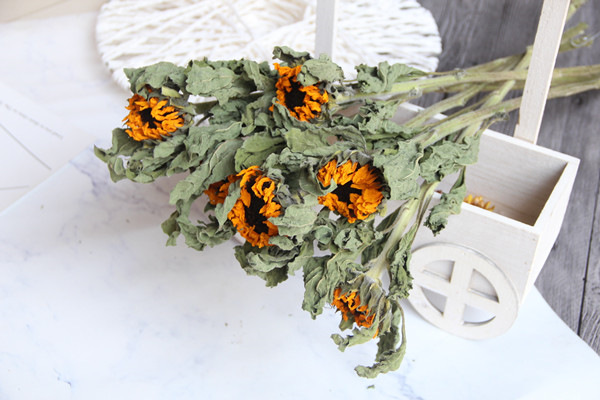 干花摆放风水