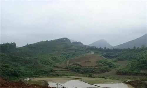 农村房屋附近有坟墓风水好吗