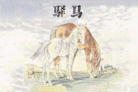 八字马星的查法和含义有哪些？