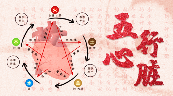 为什么说心脏是阳中之阳？