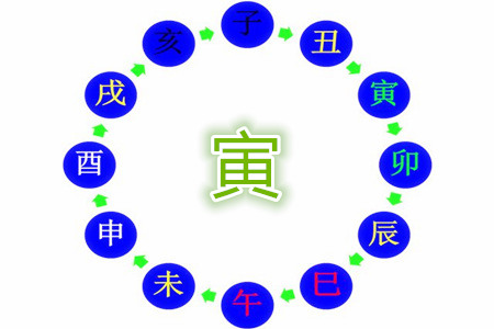 十二地支寅木的特点有哪些？