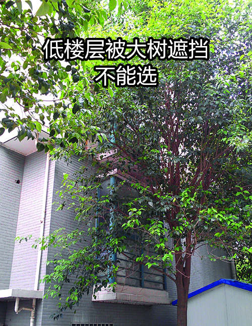 风水楼层高好还是低好？