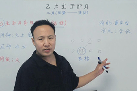 乙木生于卯月