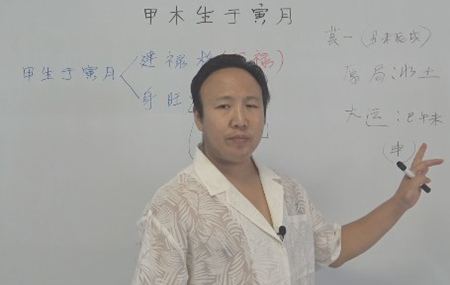 甲木生于寅月