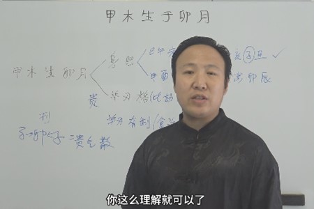 甲木生于卯月