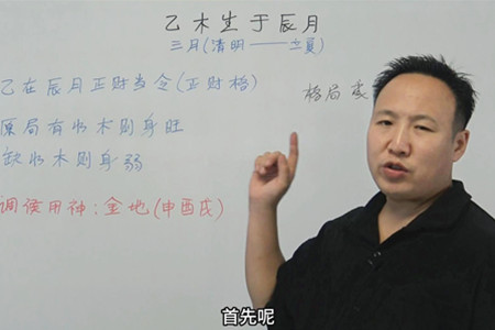 乙木生于辰月