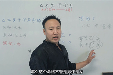 乙木生于午月