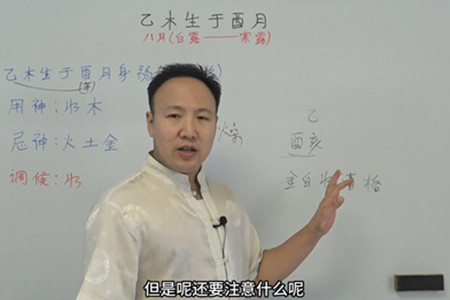 乙木生于酉月