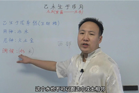 乙木生于戌月