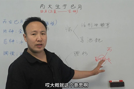 丙火生于巳月