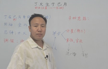 丁火生于巳月