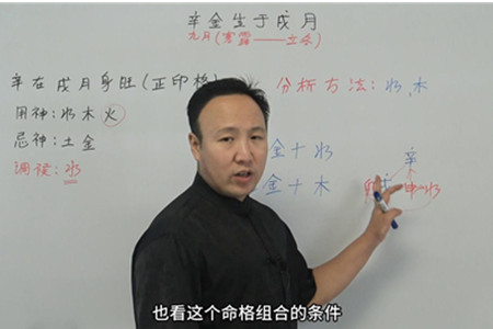 辛金生于戌月