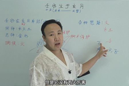 壬水生于亥月