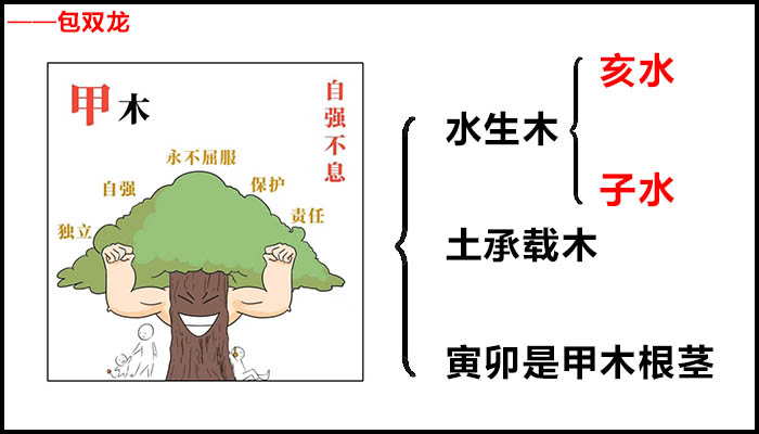 甲木最喜欢的地支是什么？