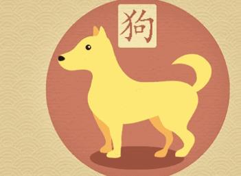 属狗的人用什么号码才吉利