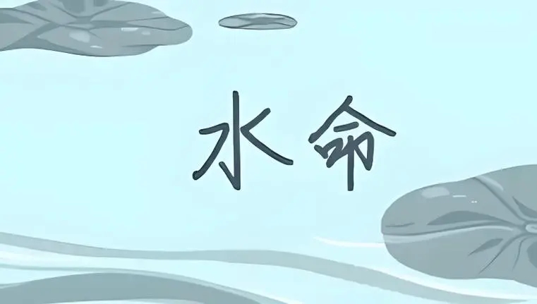 水命人用什么数字最旺财