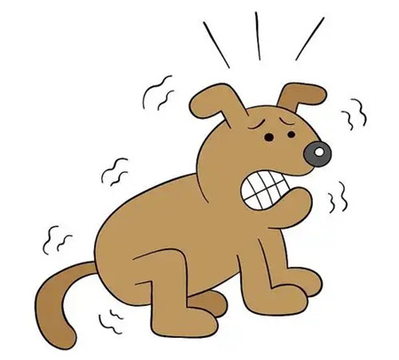 家里风水不好的表现征兆