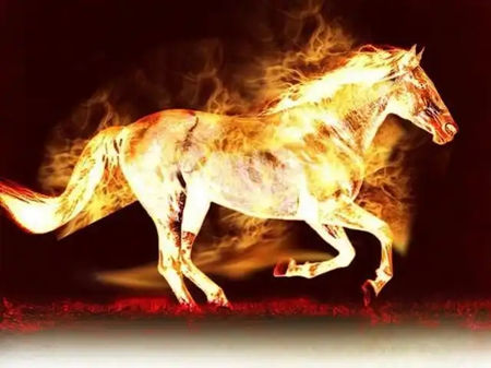 2026年九紫离火最旺哪个生肖