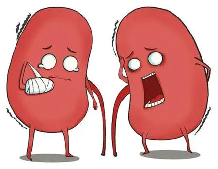 什么风水会使家里人肾不好