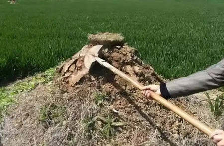 坟头三不动一动穷三代