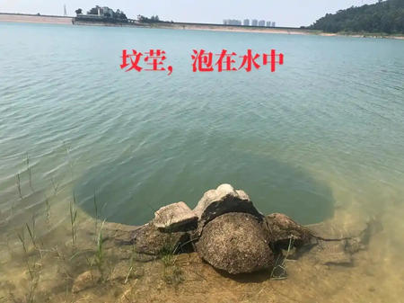 坟墓进水对后代好不好