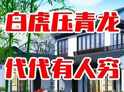 白虎压青龙有什么影响