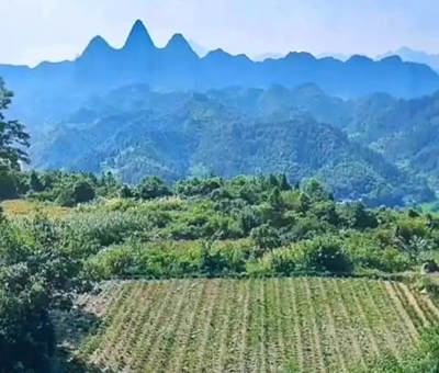 案山朝山最好的形状