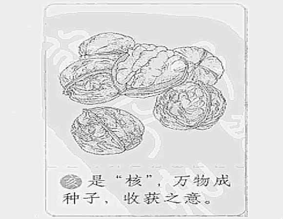亥