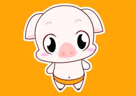 2019本命年风水