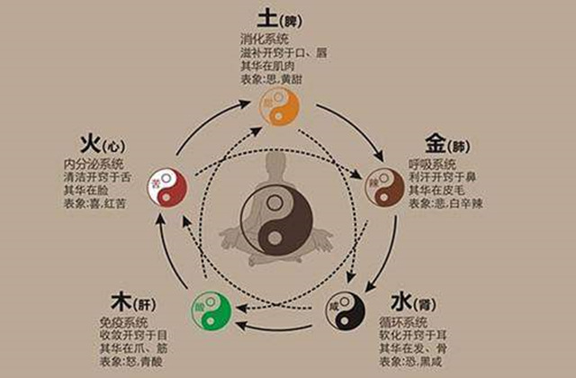 八字看健康解析